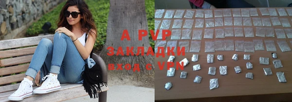СК Алексин