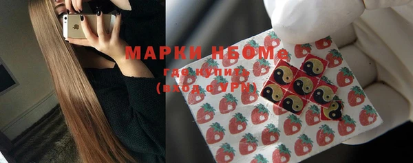 СК Алексин