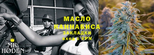 СК Алексин