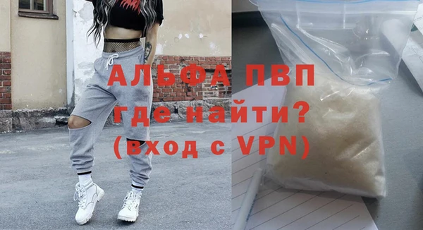 СК Алексин