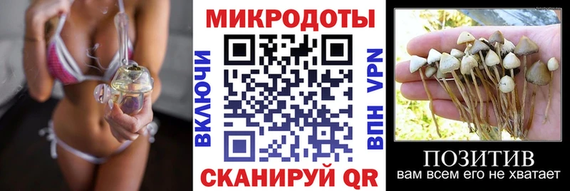 Галлюциногенные грибы прущие грибы Вихоревка