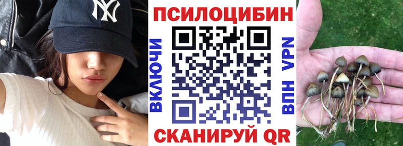 Псилоцибиновые грибы ЛСД  hydra ТОР  Вихоревка  как найти закладки 
