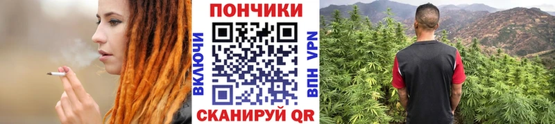 Шишки марихуана Bruce Banner  наркота  мега рабочий сайт  Вихоревка 